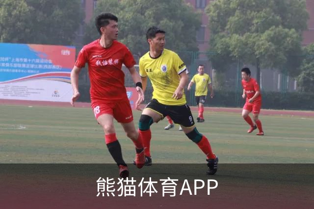 熊猫体育APP公司简介